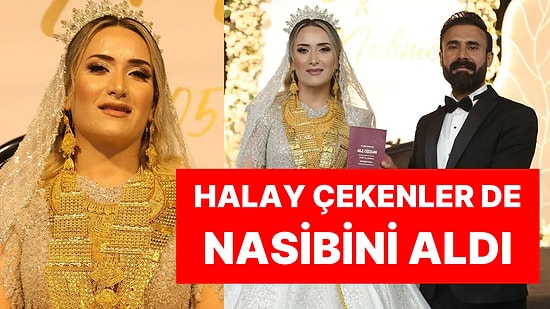 Aşiret Düğününde Geline 6 Kilo Altın Takıldı, Halay Çekenlerin Üzerine Dolarlar Saçıldı