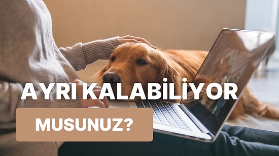 Köpeğinden Ayrı Ne Kadar Dayanabilirsin?