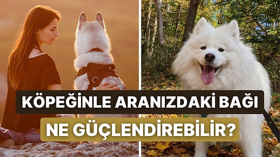 Bize Köpeğinden Bahset, Aranızdaki Bağı Kuvvetlendirecek Bir Şey Söyleyelim!