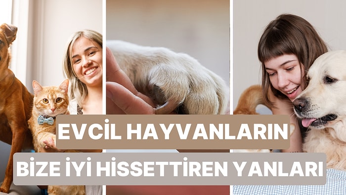 Bir Evcil Hayvana Sahip Olmanın Zor Yanlarının Yanında Bize İyi Hissettiren 10 Şey