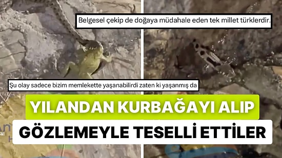 Yurdum İnsanı Merhametiyle Yine Gündemde! Önce Kurbağayı Yılandan Kurtardı Sonra Yılana Gözleme İkram Etti