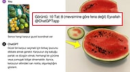 ChatGPT'ye Marketteki En İyi Karpuzu Seçtiren Kullanıcı Karşılaştığı Sonuç Karşısında Şaşkınlığını Gizleyemedi