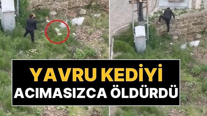 Trabzon’da Vahşet Kamerada: Yavru Kediyi Tekmeleyerek Öldürdü!