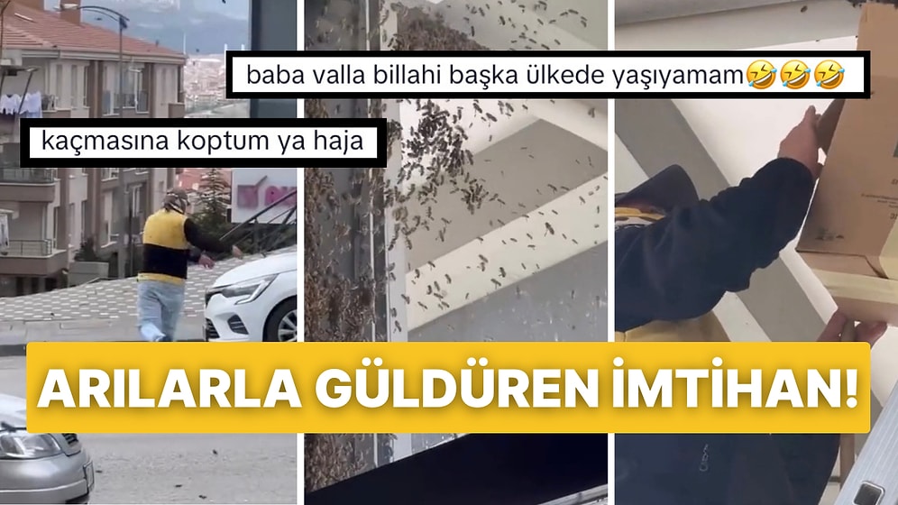 Oğul Veren Arılar Emlakçının Duvarına Yer Yapınca Yaşananlar İzleyenleri Kahkahaya Boğdu