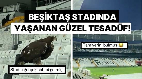 Beşiktaş Tüpraş Stadyumu’nda Tribünlere Kartal Kondu: “Stadın Gerçek Sahibi Gelmiş!”