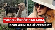 Hayvanlara Düşkünlüğüyle Öne Çıkan Seren Serengil'den Yeni Sokak Hayvanları Yasasına Sert Tepki!