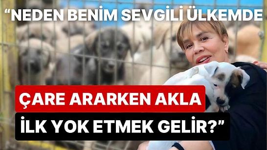 Minik Şerce Yine Kitabın Ortasından Konuştu: Sezen Aksu'dan Yeni Sokak Hayvanları Yasasına Sitemkar Mektup!