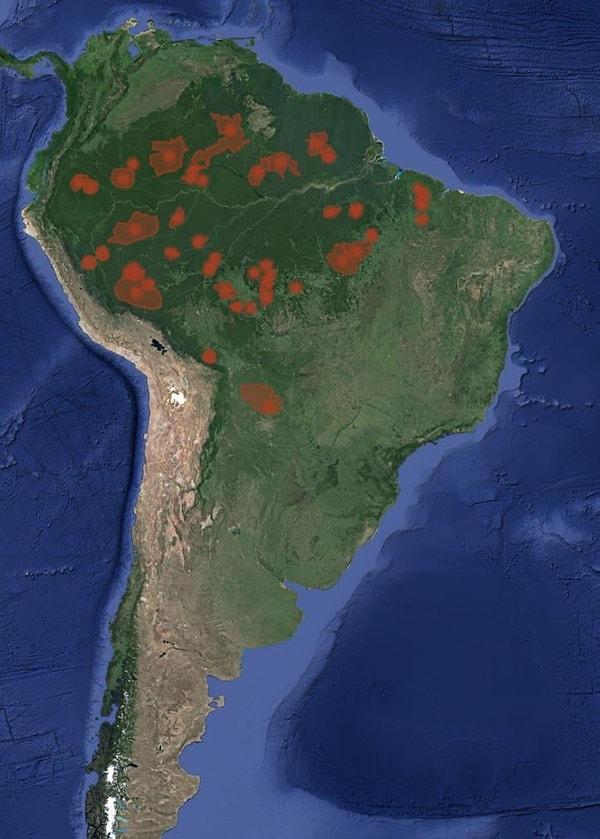 8. Güney Amerika'da insanlar ile iletişime geçmemiş kabilelerin haritası.