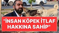 Eski Ayasofya İmamı Mehmet Boynukalın'dan Köpek İtlafına Dini Onay: "İnsan Bu Hakka Sahip"
