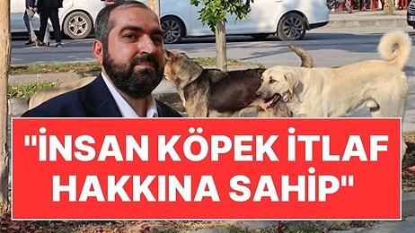 Eski Ayasofya İmamı Mehmet Boynukalın'dan Köpek İtlafına Dini Onay: "İnsan Bu Hakka Sahip"