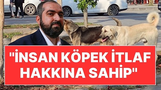 Eski Ayasofya İmamı Mehmet Boynukalın'dan Köpek İtlafına Dini Onay: "İnsan Bu Hakka Sahip"
