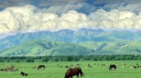 Bir yanda hayvanlar otlarken arka planda da dağların ve gökyüzünün birleşimi tam kartpostallık fotoğraf güzelliğindeydi.
