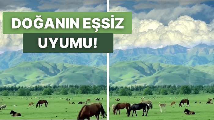 Çin Dağları’nın Büyüleyici Manzarası Karşısında Gözleriniz Kamaşacak!