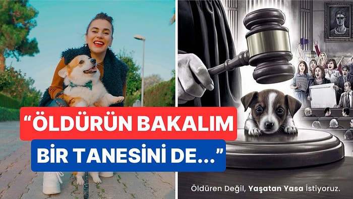 Tehditler Savurdu: Sokak Hayvanlarının "Uyutulması" Tasarısını Gören Ceylan Ertem Öfkeden Deliye Döndü!