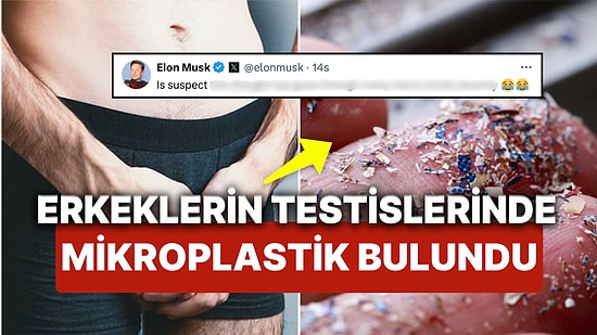 Erkeklerin Testislerinde Mikroplastik Bulundu! Bilim Dünyasının Son Keşfi Sosyal Medyada da Ses Getirdi!