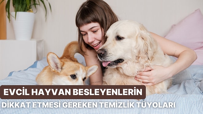 Evcil Hayvan Besleyenlerin Bilmesi Gereken 10 Temizlik Tüyosu