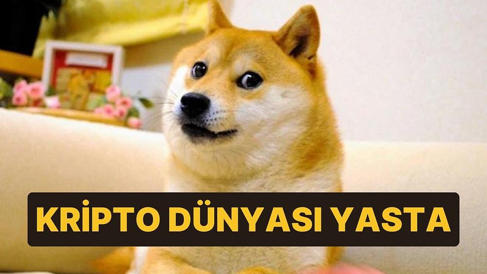 Kripto Dünyası Yasta: Dogecoin'in Simgesi Olan Kabosu Hayatını Kaybetti
