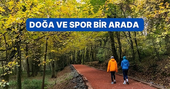 Her Adımda Keyif Alacağınız İstanbul ve Yakınındaki En Güzel Trekking Rotaları