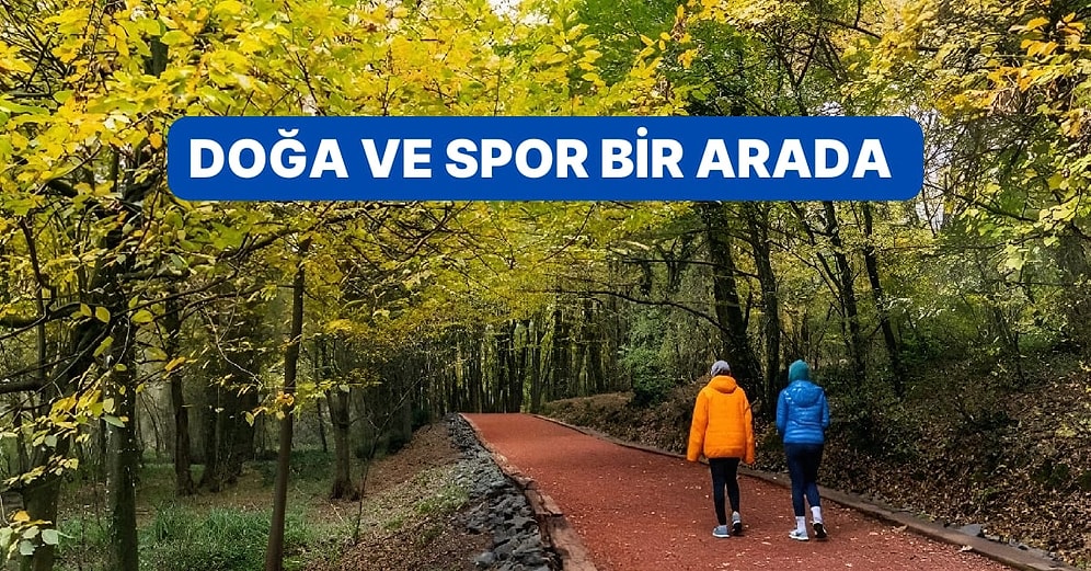 Her Adımda Keyif Alacağınız İstanbul ve Yakınındaki En Güzel Trekking Rotaları