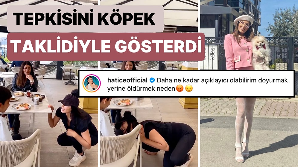 Şarkıcı Hatice Çok Tartışılan Sokak Hayvanları Yasasına Köpek Taklidi Yaparak Tepki Gösterdi