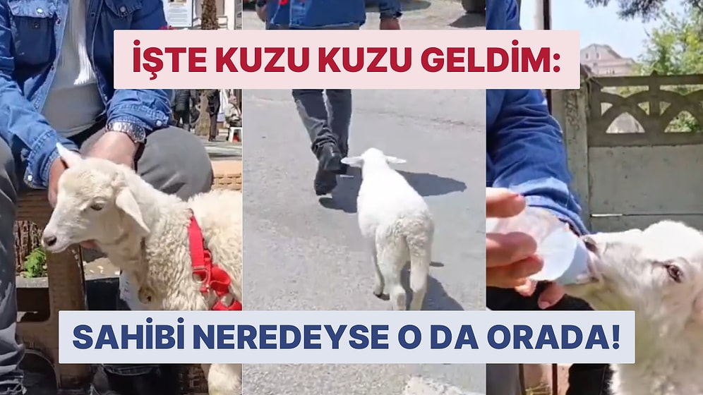Bir An Olsun Sahibini Yalnız Bırakmayan 'Kuzu İpek' Görenleri Kenedine Hayran Bıraktı!