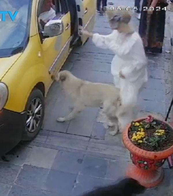 Olay sırasında orada bulunan hayvansever bir kadın, taksi şoförüne bağırarak tepki gösterdi. Taksici, köpeği fark etmediğini söylese de tepki gösteren vatandaş taksiciye inanmadı.