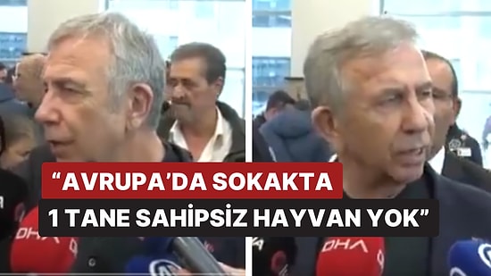 ABB Başkanı Mansur Yavaş Sokak Hayvanları Hakkında Konuştu:"Avrupa'da Sokakta Sahipsiz Hayvan Yok"