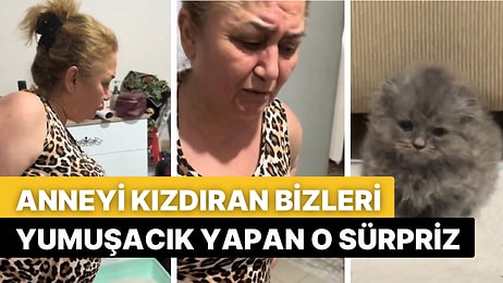 Kendisinden Habersiz Eve Getirilen Kediyi Gören Annenin Artık Klasikleşmiş Tepkisi Viral Oldu