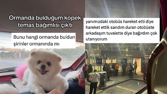 Ormanda Bulunan Köpekten Hem Kendini Hem Arkadaşını Rezil Edenlere Son 24 Saatin Viral Tweetleri