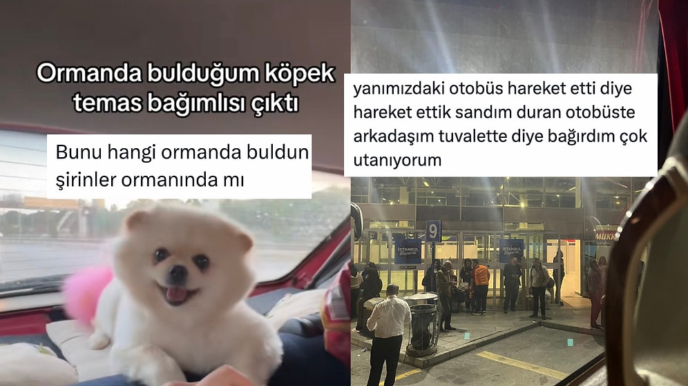 Ormanda Bulunan Köpekten Hem Kendini Hem Arkadaşını Rezil Edenlere Son 24 Saatin Viral Tweetleri