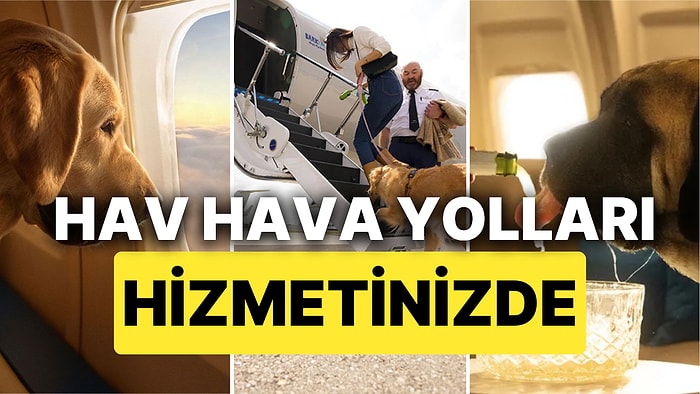 Patili Dostlarımıza Özel Hava Yolu Şirketi "Bark Air" İlk Uçuşunu Gerçekleştirdi