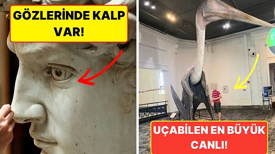 Görünce Çok Şaşıracağınız Birbirinden İlginç 20 Görselle Büyülenmeye Hazır Olun