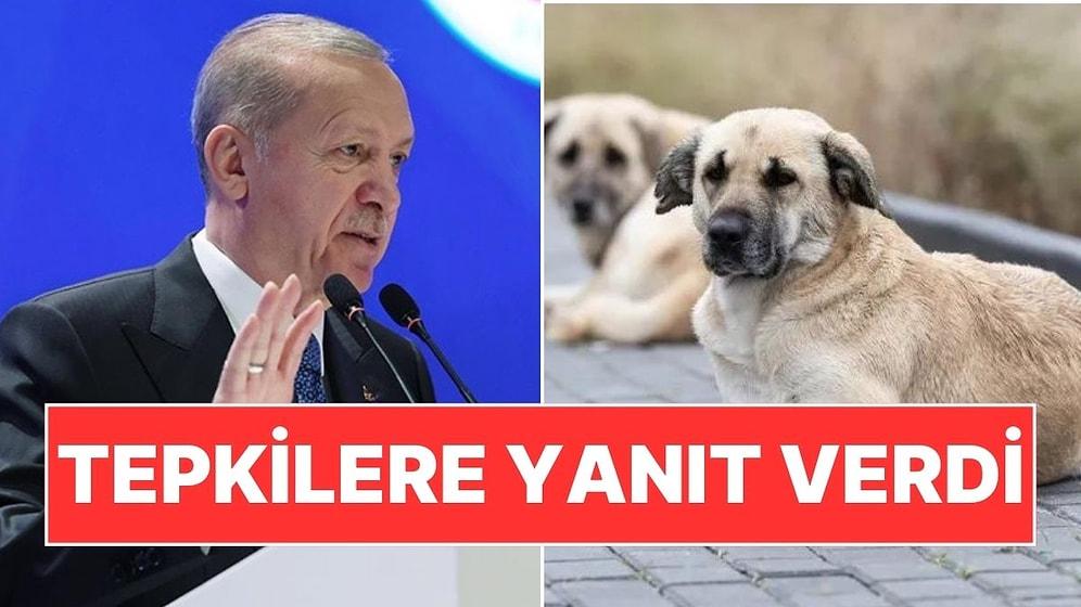 Cumhurbaşkanı Erdoğan'dan Sokak Köpekleriyle İlgili Tepkilere Yanıt: "Elitlere Değil Halka Baktık"