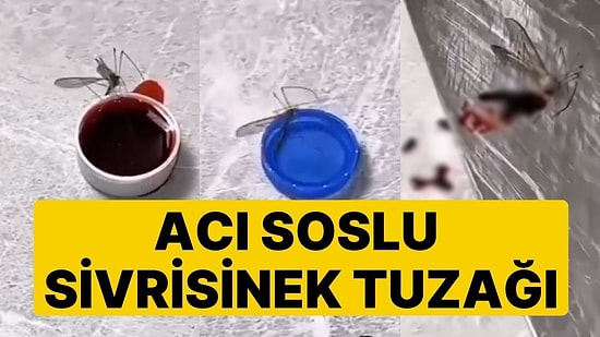 Kurduğu Sivrisinek Tuzağıyla Herkesi Hayrete Düşüren Sosyal Medya Kullanıcısı