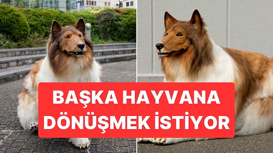 Köpeğe Dönüşmek İçin Mini Bir Servet Harcayan Adam Artık Başka Bir Hayvan Olmak İstiyor