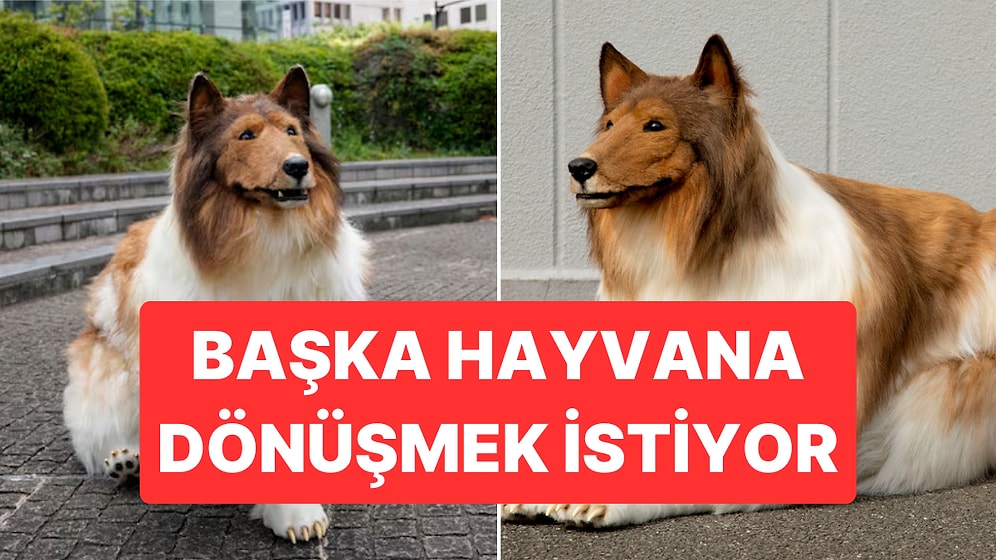 Köpeğe Dönüşmek İçin Mini Bir Servet Harcayan Adam Artık Başka Bir Hayvan Olmak İstiyor