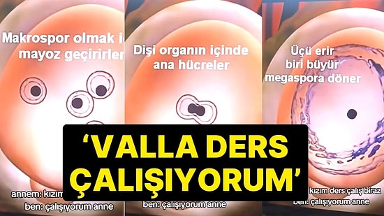 'Üreme' Konusunun Kına Gecesi Türküsüyle Anlatılması Gündem Oldu