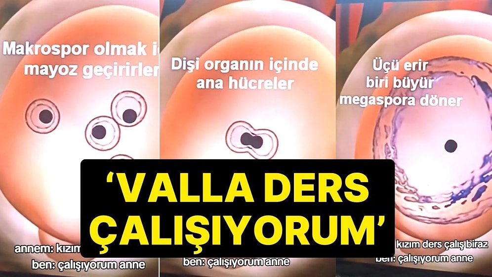 'Üreme' Konusunun Kına Gecesi Türküsüyle Anlatılması Gündem Oldu