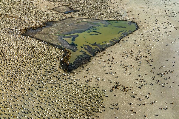 Son yıllarda drone ile çekilen fotoğrafların da bir yarışması var.