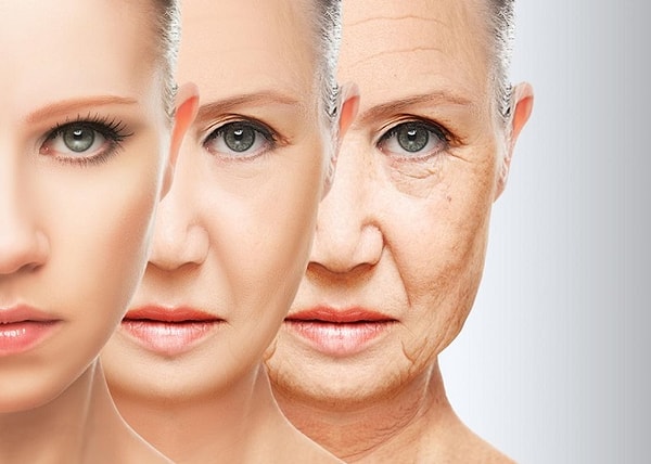 Anti-aging ve nutrasötikler: Temel kavramlar