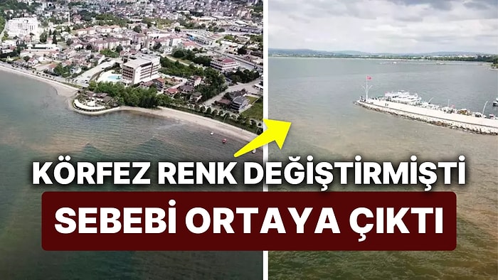 Denizin Rengi Değişmişti Sebebi Ortaya Çıktı! Peki Körfez'i Kahverengiye Boyayan Neydi?