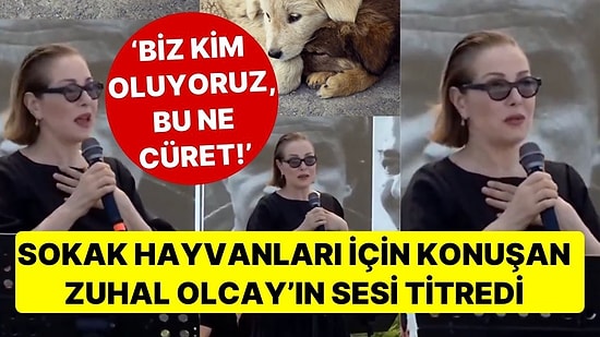 Sokak Hayvanları İçin Konuşan Zuhal Olcay'ın Sesi Titredi! 'Biz Kim Oluyoruz ki Onları Yeyüzünden Siliyoruz'