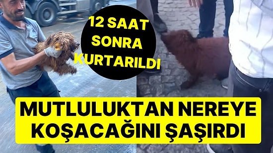 Küçükçekmece'deki Yıkılan Binanın Enkazından 12 Saat Sonra Kurtarıldı: Mutluluktan Nereye Koşacağını Şaşırdı