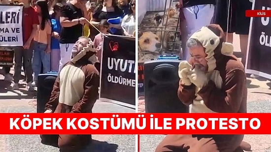 Köpeklerin Uyutulmaması İçin Eylem Yapan Kişi Köpek Kostümü Giydiği Anlarla Gündem Oldu