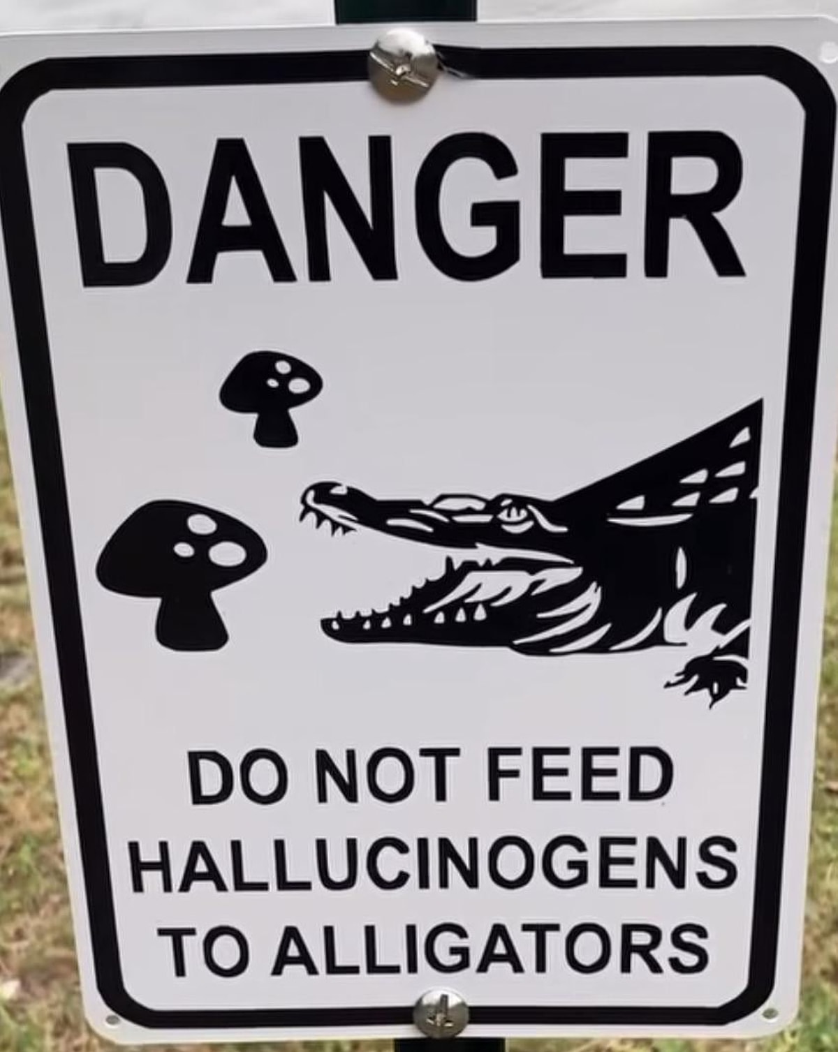 2. "Timsahları uyuşturucu madde ile beslemeyiniz. 