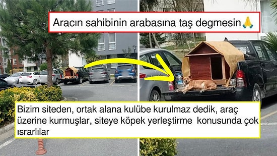 Arabasının Arkasına Köpekler İçin Kulübe Yapan Site Sakinine Sinirlenen Kadın Tepkilerin Odağında