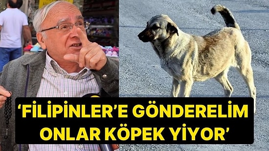 Sokak Röportajında Tartışma Yaratacak 'Sokak Köpeği' Çözümü! 'Filipinler'e Gönderelim, Yesinler'