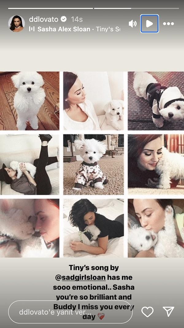 Demi Lovato köpeğini özledi.