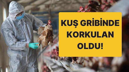 Dünya Sağlık Örgütü Açıkladı: İnsana Bulaşan Kuş Gribinden Ölüm Meydana Geldi