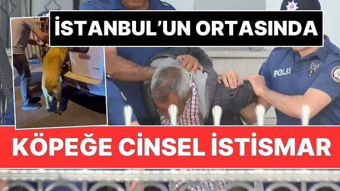 Güvenlik Kameraları Yakalattı: İstanbul'un Göbeğinde Köpeğe Cinsel İstismar!